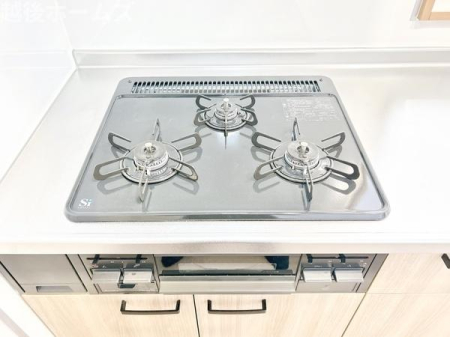 ���̑� �O���R����