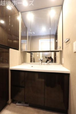 ���ʑ�E���ʏ� �R�ʋ�������ʑ䉡�̃��l�����[�ȂǖL�x�Ȏ��[�Ő������̂Ȃ�