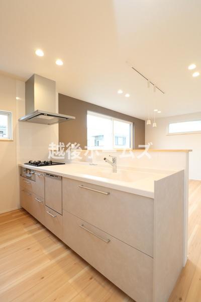 �L�b�`�� �y���Ў{�H��z�L�b�`���͎g���₷���V�X�e���L�b�`���ł��B
�򐅊��̌^�̐�����H��@���W���������Ă��܂��B