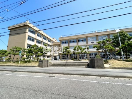 ���ӊ� �y���w�Z�z�V���s����R���w�Z�F539m