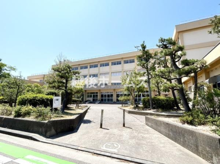 ���ӊ� �y���w�Z�z�V���s����R���w�Z�F782m