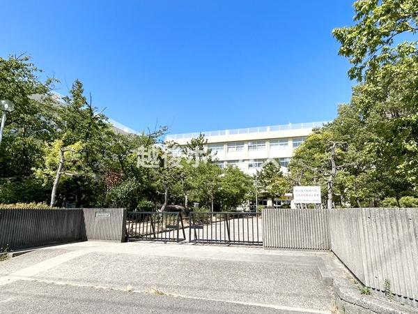 ���ӊ� �y���w�Z�z�V���s��������R���w�Z�F1003m