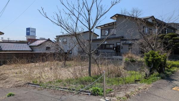 ���n�y�n�ʐ^ -