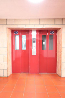 ���̑����p�� -