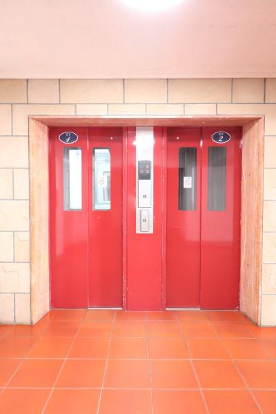 ���̑����p�� -