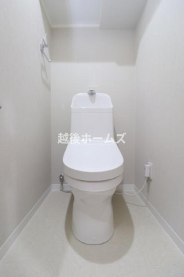 �g�C�� �y���Ў{�H����z���������E���K�ȉ��������g�C��
