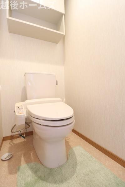 �g�C�� -