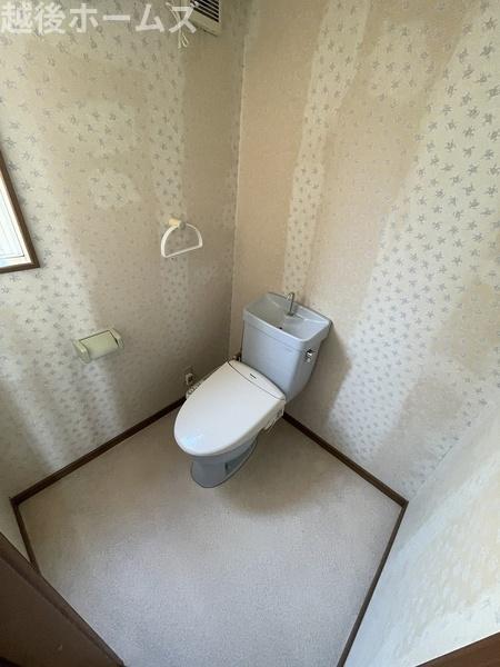 �g�C�� -