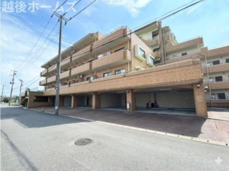 ���̑����n �y���E�j���E�������ł����w�ł��܂��I ���̕������C�ɂȂ���́A���C�y�ɂ��⍇���������I