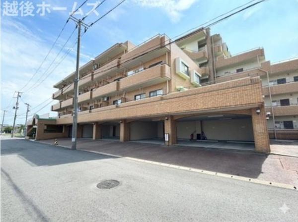 ���̑����n �y���E�j���E�������ł����w�ł��܂��I ���̕������C�ɂȂ���́A���C�y�ɂ��⍇���������I