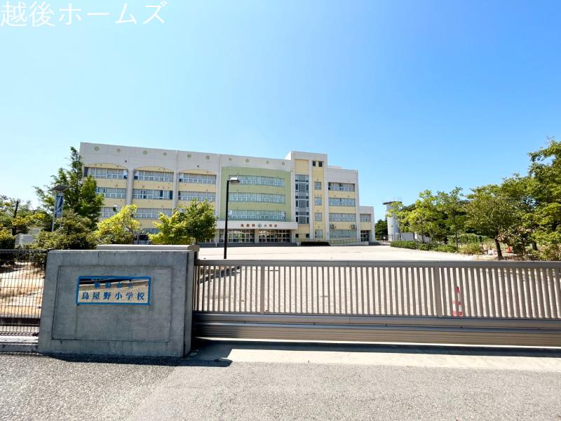 ���ӊ� �V���s�������쏬�w�Z