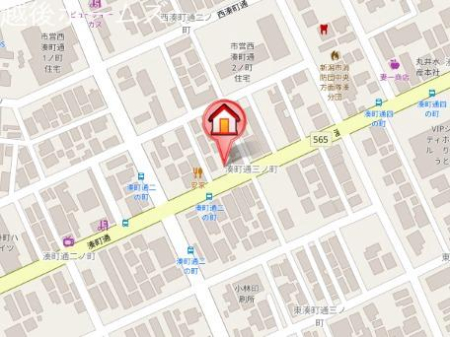 ���̑� �V���s�����斩���ʂR�m��2633