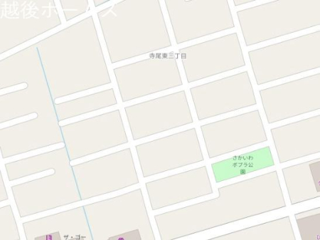 ���̑� �V���s���掛�����R���ڂP�P-�V
