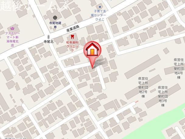 ���̑� �V���s���掛���k�P����3-20