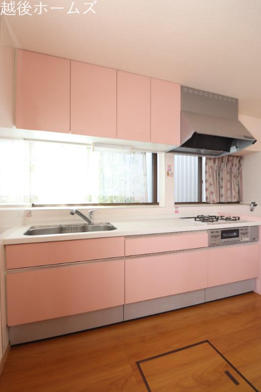�L�b�`�� �傫�ȑ������������̂Ŗ��邭���ʂ��̂����L�b�`���ł�