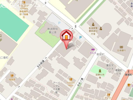 ���̑� �V���s������񋏒�700-1