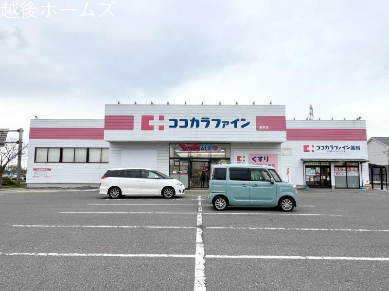 ���ӊ� �R�R�J���t�@�C�����r�X