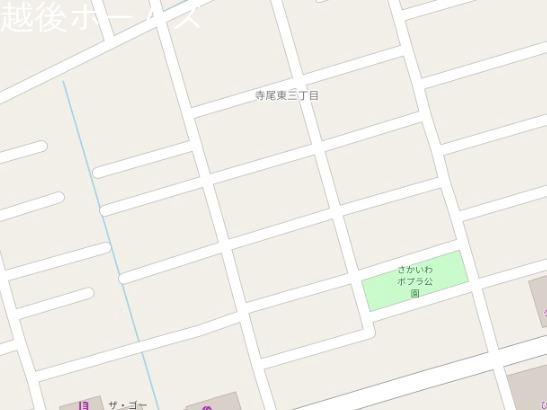���̑� �V���s���掛�����R���ڂP�P-�V