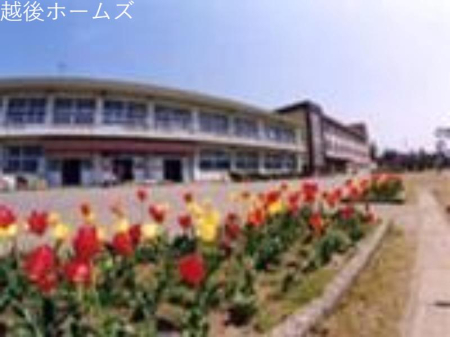 ���ӊ� ��z�s�����{���w�Z