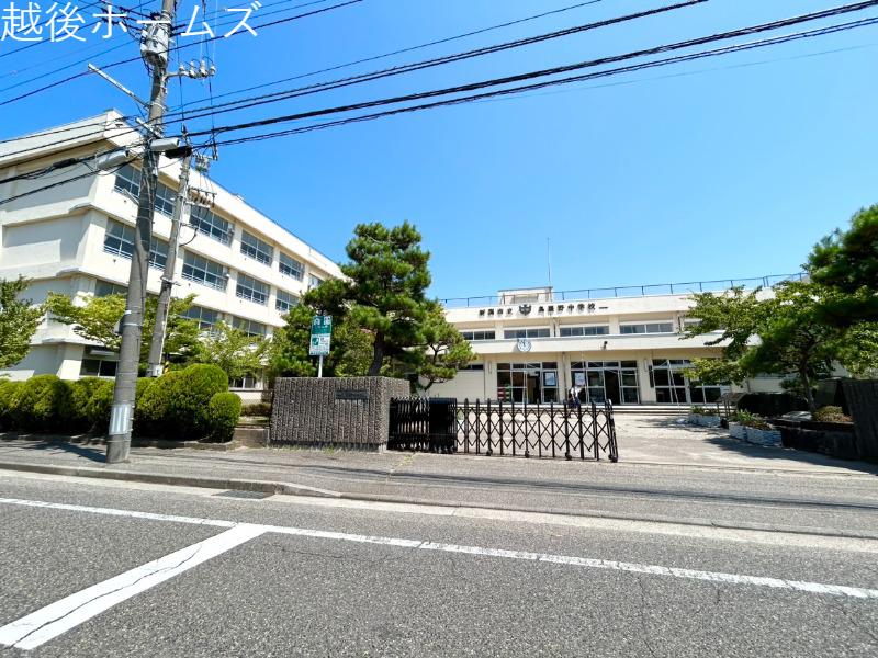 ���ӊ� �V���s�������쒆�w�Z
