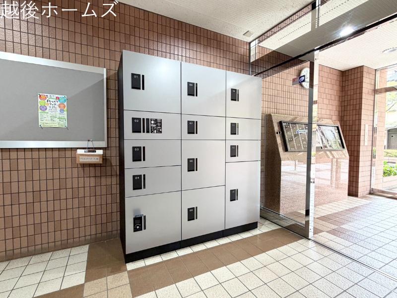 ���̑� ��zBOX