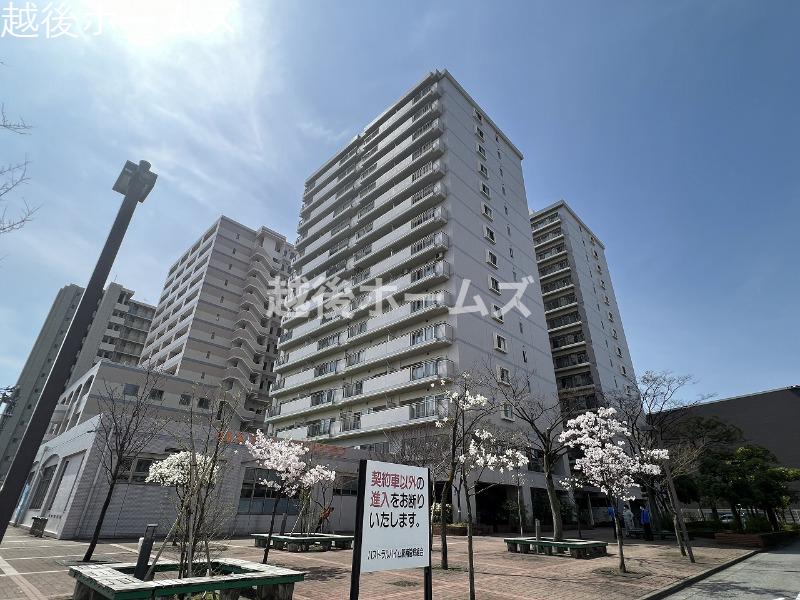 ���n�O�ώʐ^ �y�������y���j�����ł����ē��������܂��I���C�y�ɂ��⍇�����������I�z �y���⍇���͖����ʘb����􃁁[���ELINE�ł����҂����Ă܂��I�z